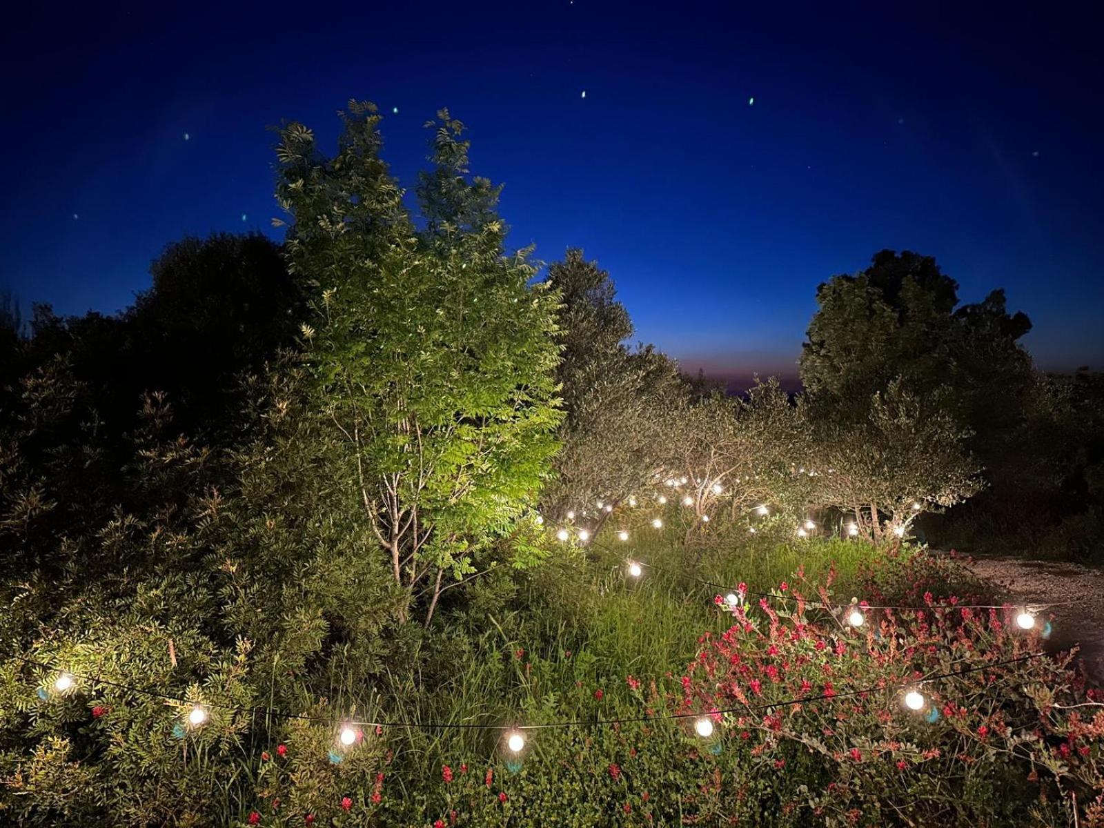 ホテル Glamping San Bart サン·ヴィンチェンツォ エクステリア 写真
